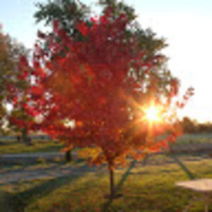 Meet your Posher, Bridget